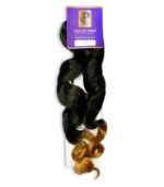 Golen French Curls Braids - Colour T27