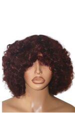 Golen Hair Bouncy Afro Curls Human Hair Wig – 350 Density Afro Curly Hair Wig with Big Bouncy Afro Curls - Image 3