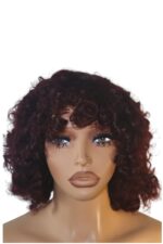 Golen Hair Bouncy Afro Curls Human Hair Wig – 350 Density Afro Curly Hair Wig with Big Bouncy Afro Curls - Image 2
