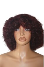 Golen Hair Bouncy Afro Curls Human Hair Wig – 350 Density Afro Curly Hair Wig with Big Bouncy Afro Curls - Image 6