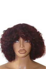 Golen Hair Bouncy Afro Curls Human Hair Wig – 350 Density Afro Curly Hair Wig with Big Bouncy Afro Curls - Image 5